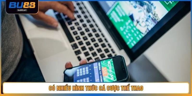 Cá Cược Thể Thao - Bí Kíp Để Đoán Trúng Trận Đấu 98% 3 Có nhiều hình thức cá cược thể thao