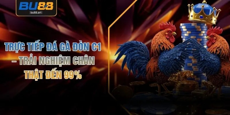 Trực Tiếp Đá Gà Đòn C1 – Trải Nghiệm Chân Thật Đến 99% 1 Trực Tiếp Đá Gà Đòn C1 – Trải Nghiệm Chân Thật Đến 99%